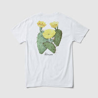 Thumbnail for Prickly Tee - Because Weekend